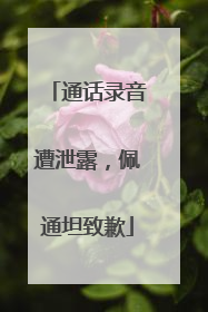 通话录音遭泄露，佩通坦致歉