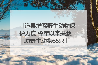 道县增强野生动物保护力度 今年以来共救助野生动物65只