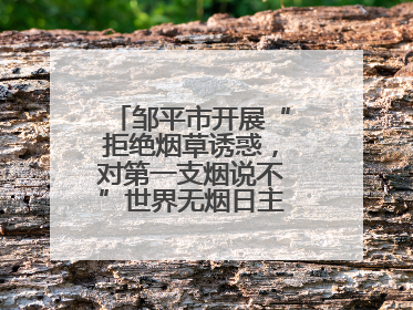 邹平市开展“拒绝烟草诱惑,对第一支烟说不”世界无烟日主题宣传活动