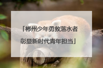 郴州少年勇救落水者 彰显新时代青年担当