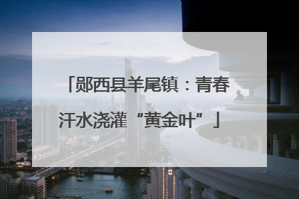 郧西县羊尾镇：青春汗水浇灌“黄金叶”