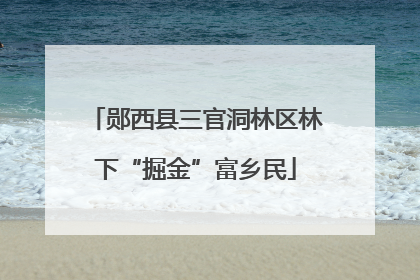 郧西县三官洞林区林下“掘金”富乡民