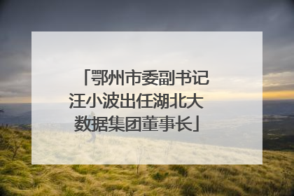 鄂州市委副书记汪小波出任湖北大数据集团董事长