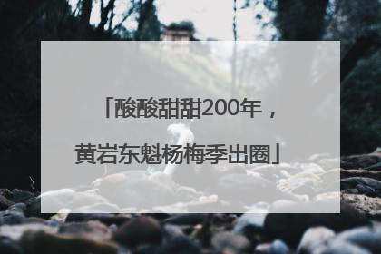 酸酸甜甜200年，黄岩东魁杨梅季出圈