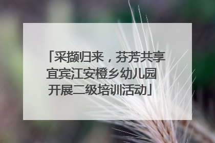 采撷归来，芬芳共享 宜宾江安橙乡幼儿园开展二级培训活动