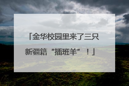 金华校园里来了三只新疆籍“插班羊”！