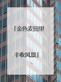 金色麦田里丰收风景