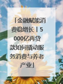 金融赋能消费稳增长丨5000亿再贷款如何撬动服务消费与养老产业