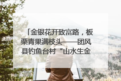 金银花开致富路，板栗青果满枝头——团风县钓鱼台村“山水生金”谱写共富新篇章
