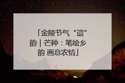 金陵节气“遗”韵｜芒种：笔绘乡韵 画意农情