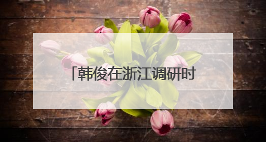 韩俊在浙江调研时强调 完善城乡融合发展体制机制 推进学习运用“千万工程”经验走深走实