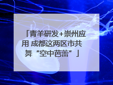 青羊研发+崇州应用 成都这两区市共舞“空中芭蕾”