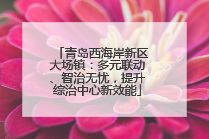 青岛西海岸新区大场镇：多元联动、智治无忧，提升综治中心新效能