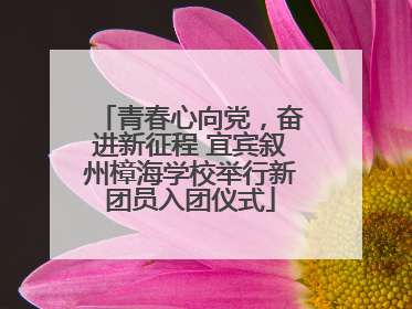 青春心向党，奋进新征程 宜宾叙州樟海学校举行新团员入团仪式