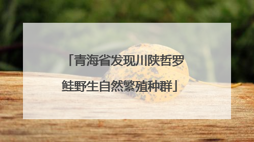 青海省发现川陕哲罗鲑野生自然繁殖种群