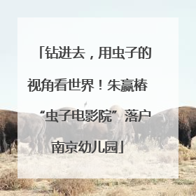 钻进去，用虫子的视角看世界！朱赢椿“虫子电影院”落户南京幼儿园
