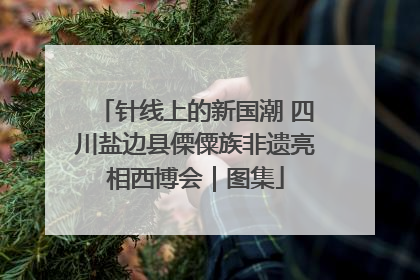 针线上的新国潮 四川盐边县傈僳族非遗亮相西博会｜图集