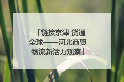 链接京津 货通全球——河北商贸物流新活力观察