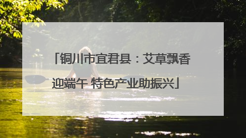 铜川市宜君县：艾草飘香迎端午 特色产业助振兴