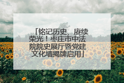铭记历史、赓续荣光！枣庄市中法院院史展厅暨党建文化墙揭牌启用