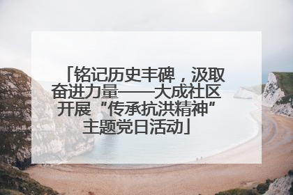 铭记历史丰碑，汲取奋进力量——大成社区开展“传承抗洪精神”主题党日活动