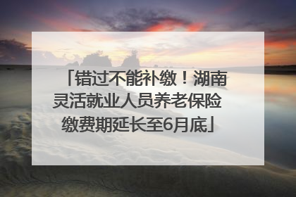 错过不能补缴！湖南灵活就业人员养老保险缴费期延长至6月底