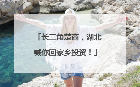 长三角楚商，湖北喊你回家乡投资！