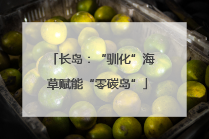 长岛：“驯化”海草赋能“零碳岛”