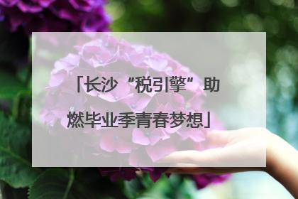 长沙“税引擎”助燃毕业季青春梦想