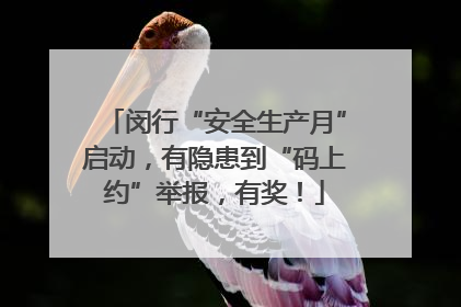 闵行“安全生产月”启动，有隐患到“码上约”举报，有奖！