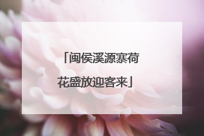 闽侯溪源寨荷花盛放迎客来
