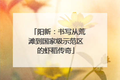 阳新：书写从荒滩到国家级示范区的虾稻传奇