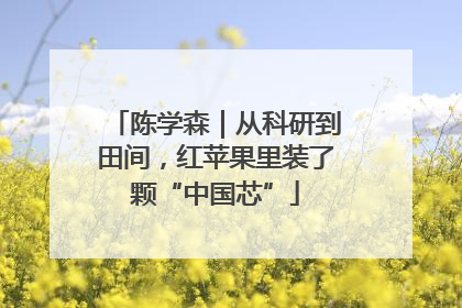 陈学森｜从科研到田间，红苹果里装了颗“中国芯”