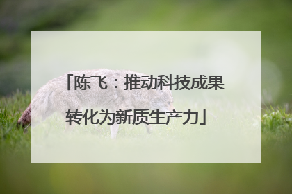 陈飞：推动科技成果转化为新质生产力