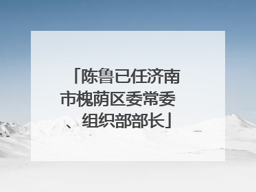 陈鲁已任济南市槐荫区委常委、组织部部长