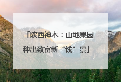 陕西神木：山地果园种出致富新“钱”景