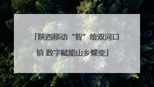 陕西移动“智”绘双河口镇 数字赋能山乡蝶变