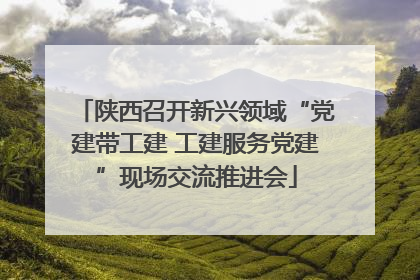 陕西召开新兴领域“党建带工建 工建服务党建”现场交流推进会