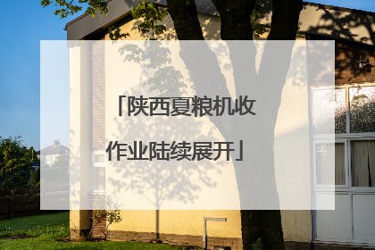 陕西夏粮机收作业陆续展开