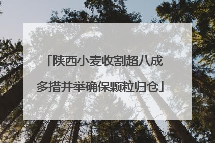 陕西小麦收割超八成 多措并举确保颗粒归仓