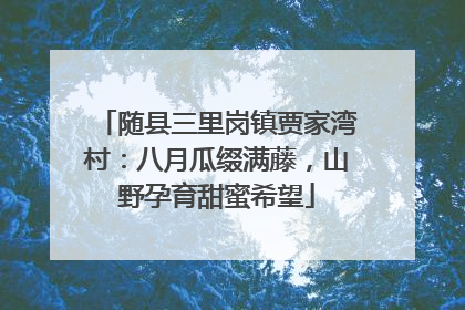 随县三里岗镇贾家湾村：八月瓜缀满藤，山野孕育甜蜜希望