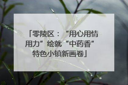 零陵区：“用心用情用力”绘就“中药香”特色小镇新画卷
