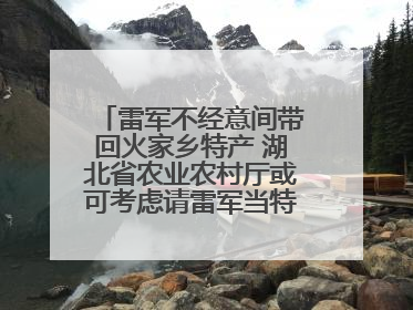 雷军不经意间带回火家乡特产 湖北省农业农村厅或可考虑请雷军当特产大使