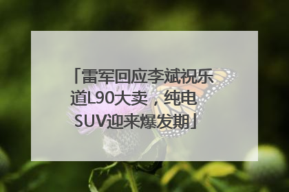 雷军回应李斌祝乐道L90大卖，纯电SUV迎来爆发期