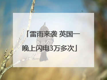 雷雨来袭 英国一晚上闪电3万多次