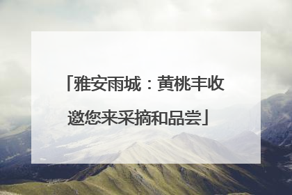 雅安雨城：黄桃丰收 邀您来采摘和品尝