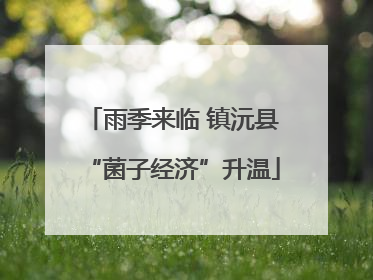 雨季来临 镇沅县“菌子经济”升温