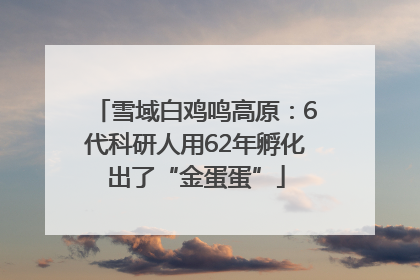 雪域白鸡鸣高原：6代科研人用62年孵化出了“金蛋蛋”