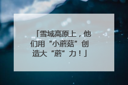 雪域高原上，他们用“小蘑菇”创造大“蘑”力！