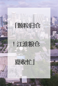 颗粒归仓！江淮粮仓夏收忙